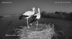 IMG_9636.jpeg