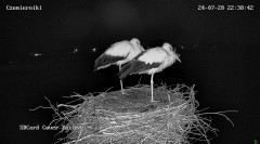 IMG_9639.jpeg