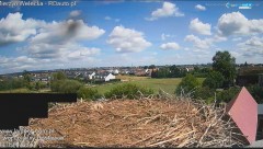 2024-07-29 12_37_20-20240729_121153.mp4 ‎- Zdjęcia.jpg
