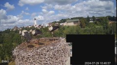 2024-07-29 17_37_23-Biecz gniazdo bocianów - YouTube – Maxthon.jpg