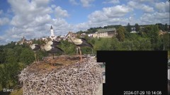 2024-07-29 17_38_16-Biecz gniazdo bocianów - YouTube – Maxthon.jpg