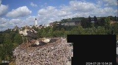 2024-07-29 17_38_37-Biecz gniazdo bocianów - YouTube – Maxthon.jpg