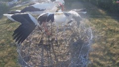 IMG_0033.jpeg