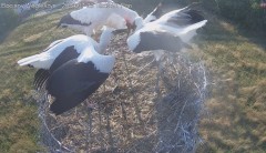 IMG_0037.jpeg