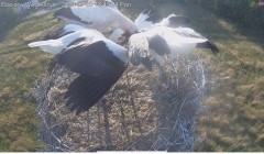 IMG_0039.jpeg