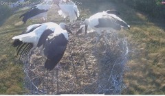 IMG_0040.jpeg