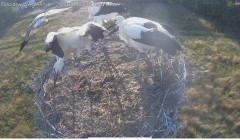 IMG_0041.jpeg