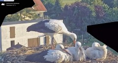 IMG_0049.jpeg