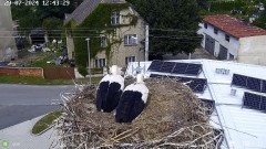 IMG_9798.jpeg