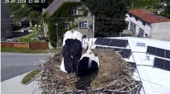 IMG_9830.jpeg