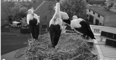 IMG_0071.jpeg
