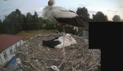 IMG_0064.jpeg