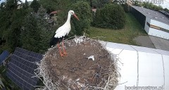IMG_9765.jpeg