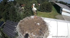 IMG_9769.jpeg