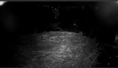 bandicam 2024-07-29 21-53-05-964.jpg
