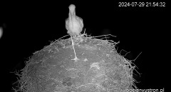 IMG_0104.jpeg