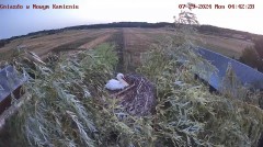 IMG_9860.jpeg