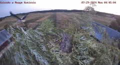 IMG_9863.jpeg