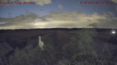 IMG_0118.jpeg