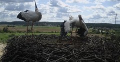IMG_9893.jpeg