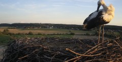 IMG_0057.jpeg