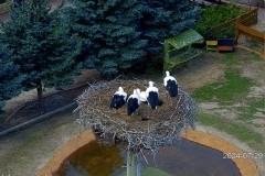 IMG_9790.jpeg