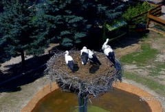 IMG_9796.jpeg