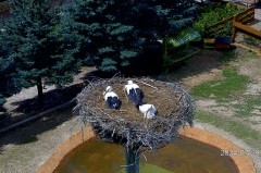 IMG_9835.jpeg