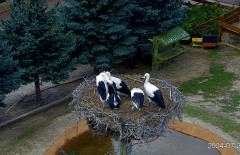 IMG_9916.jpeg