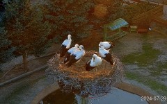 IMG_0060.jpeg