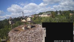 2024-07-29 23_12_32-Biecz gniazdo bocianów - YouTube – Maxthon.jpg