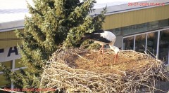 IMG_9657.jpeg