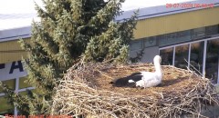 IMG_9659.jpeg