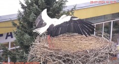 IMG_9664.jpeg