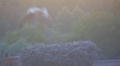 IMG_9776.jpeg