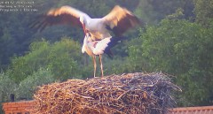 IMG_0140.jpeg