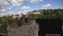 2024-07-30 21_52_40-Biecz gniazdo bocianów - YouTube – Maxthon.jpg