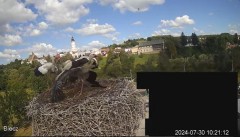 2024-07-30 21_52_48-Biecz gniazdo bocianów - YouTube – Maxthon.jpg