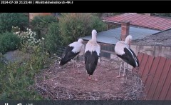 bandicam 2024-07-30 21-24-03-829.jpg