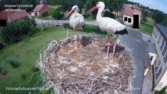 IMG_1566.jpeg
