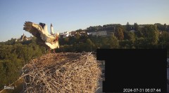 IMG_0531.jpeg