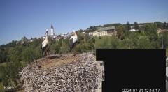 IMG_0651.jpeg