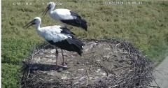 IMG_0642.jpeg