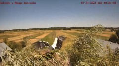 IMG_0699.jpeg