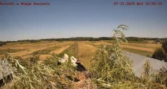 IMG_0703.jpeg