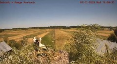 IMG_0705.jpeg