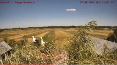 IMG_0706.jpeg
