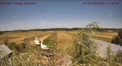 IMG_0707.jpeg