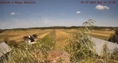 IMG_0712.jpeg