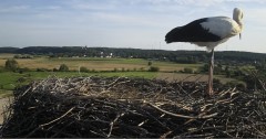 IMG_0722.jpeg